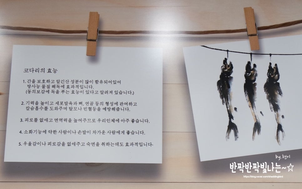 바담코다리 이미지