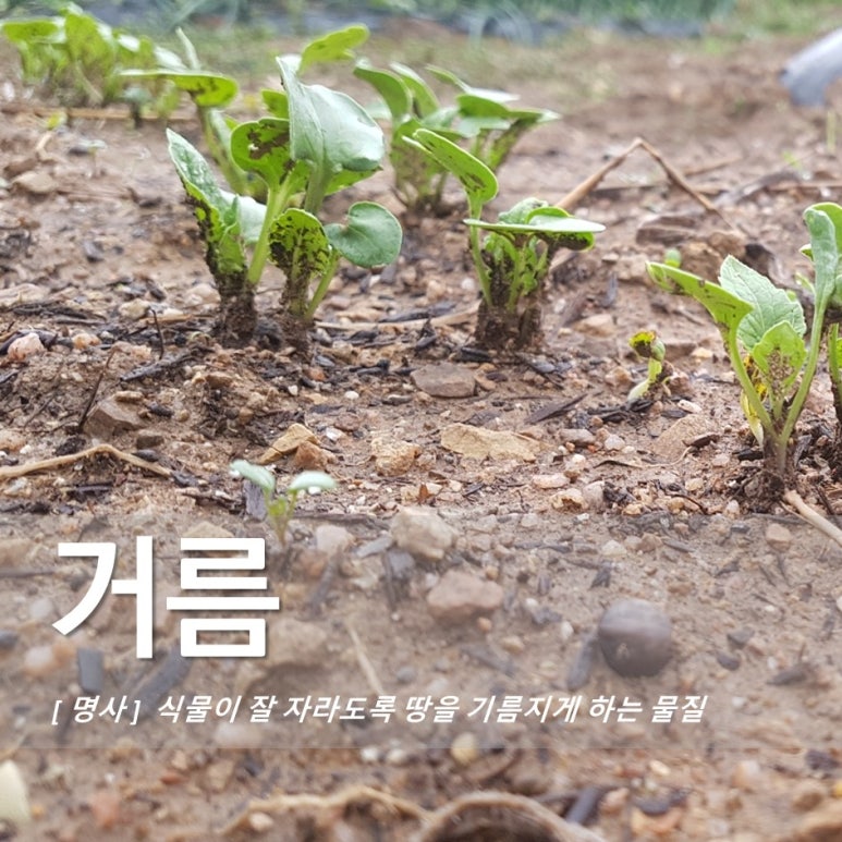 미소담은 된장 이미지