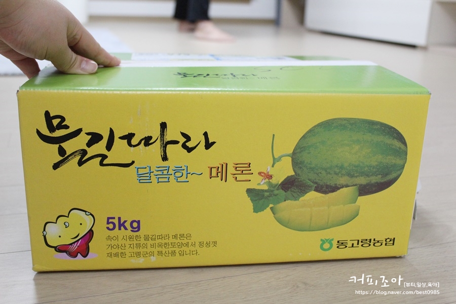 청송상회 이미지