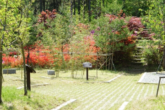 금강수목원 이미지