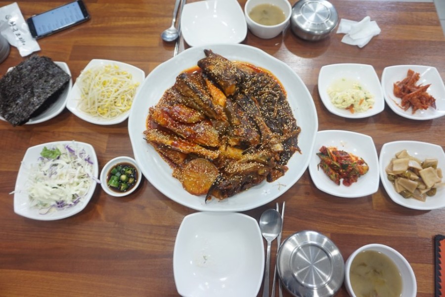 금빛코다리 이미지