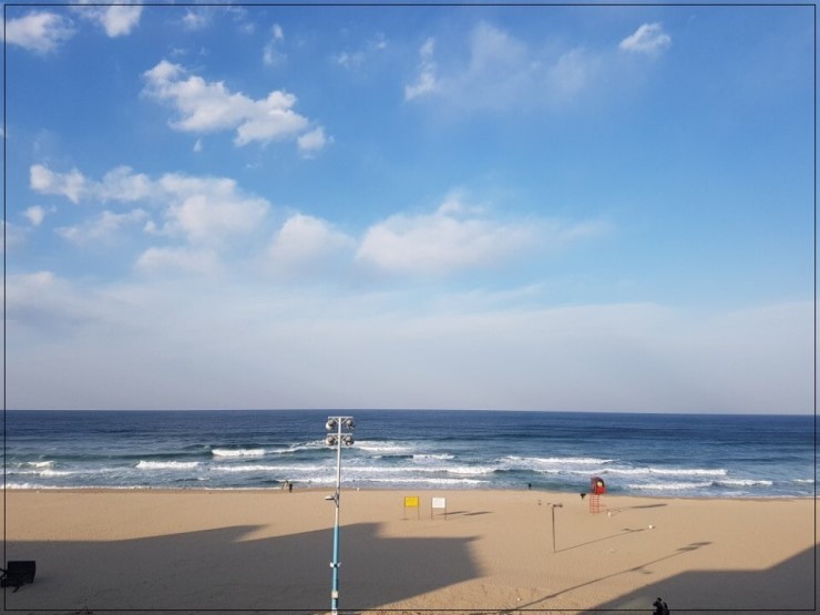 꼬꼬닭갈비 이미지