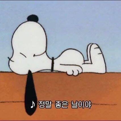 매일좋은날 이미지