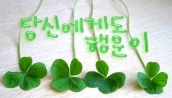 오늘은짬뽕 이미지