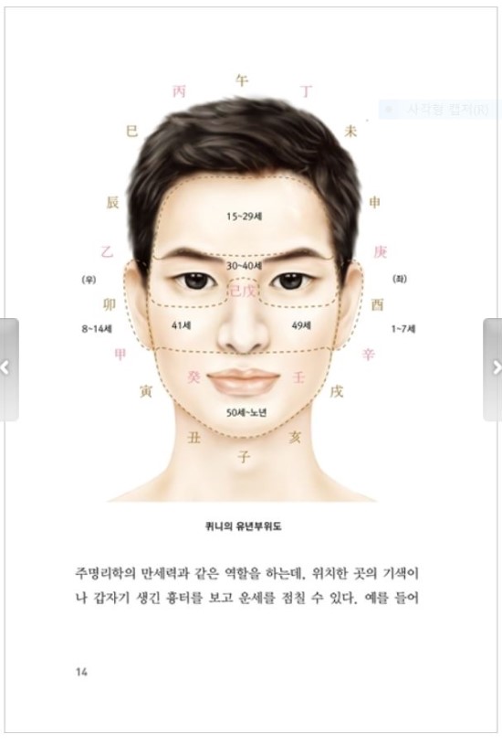 운선생 이미지