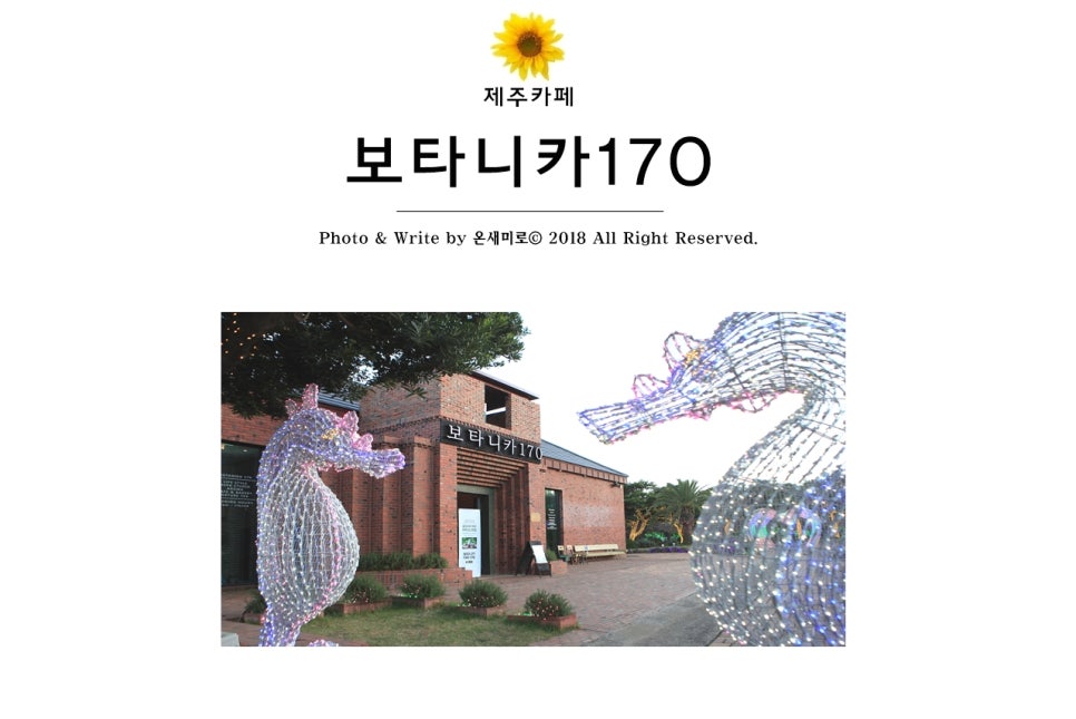 보타니카170 이미지