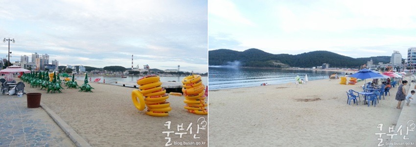 푸른동해아구찜 이미지