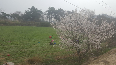 옹동청결떡방앗간 이미지