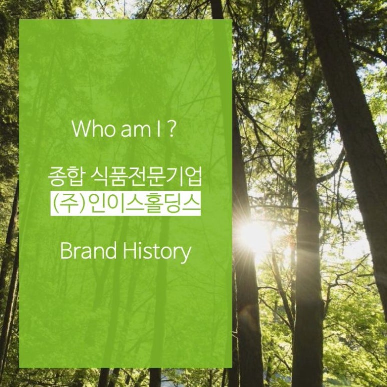 (주)인이스홀딩스 이미지