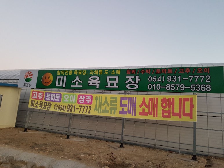 미소육묘장 이미지