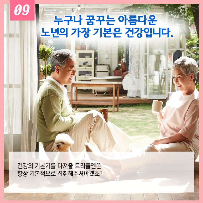 엔트리에너지 이미지