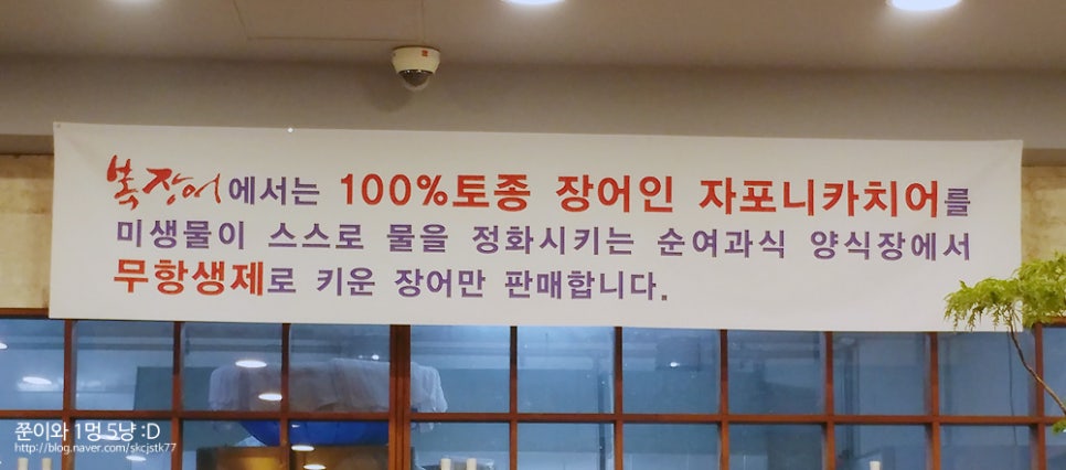 풍천복장어 이미지