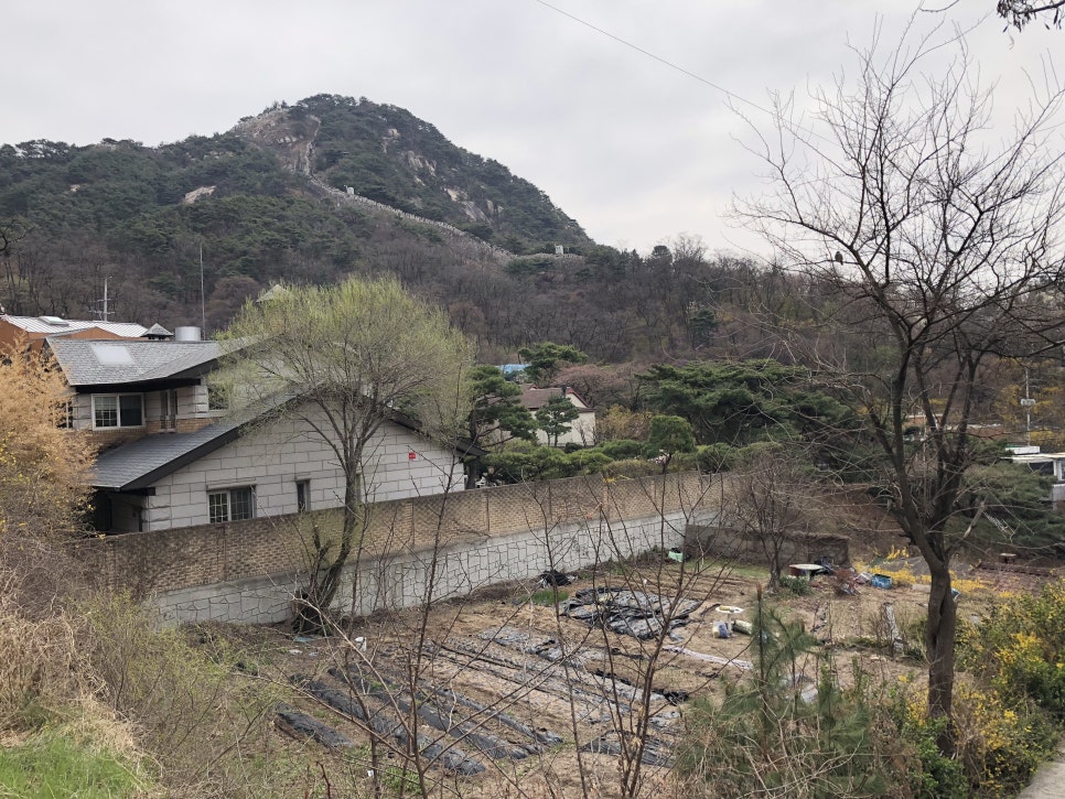 동양닭집 이미지