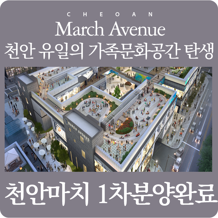 일레븐 에비뉴 이미지