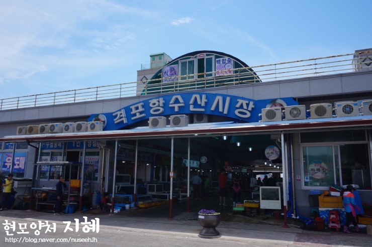 회포장 이미지