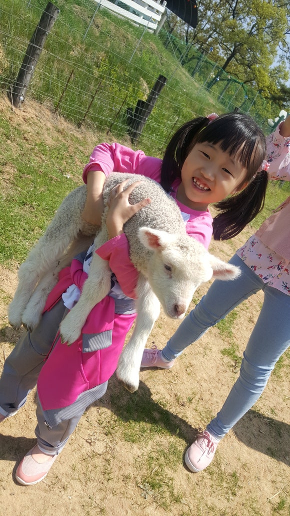 용인축산업협동조합한우랜드 이미지