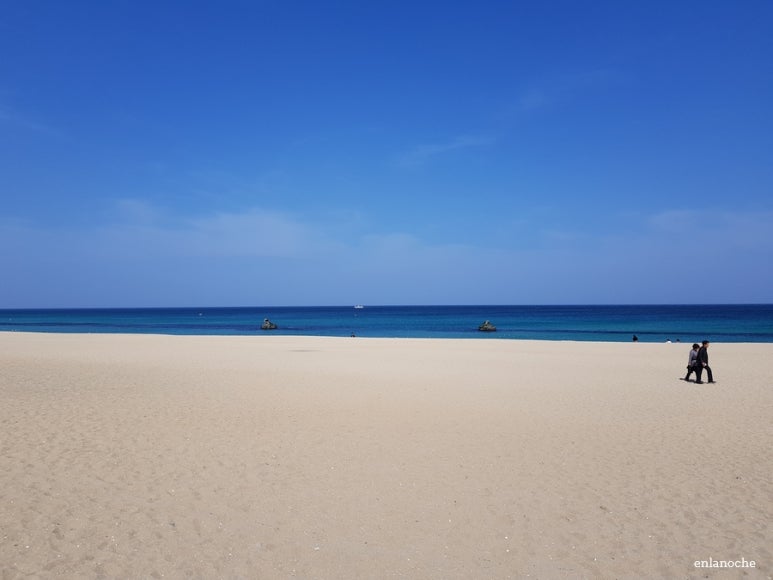 3월카페 이미지