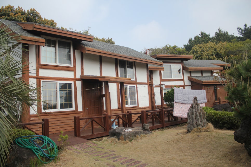 제주 야자원 이미지