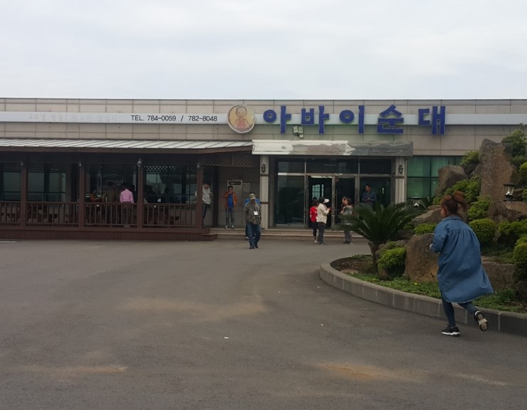 일출봉아로니아 이미지