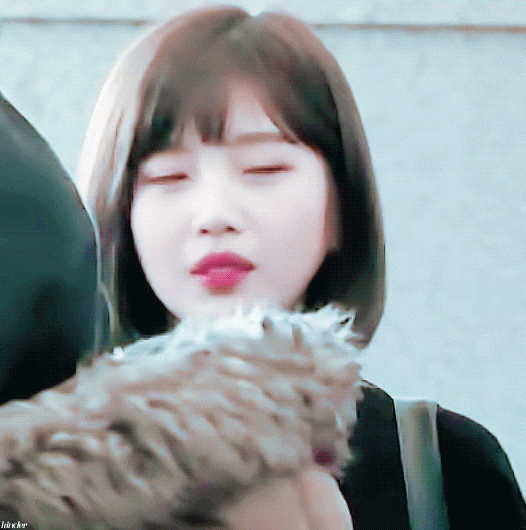 꽃길걷개 이미지