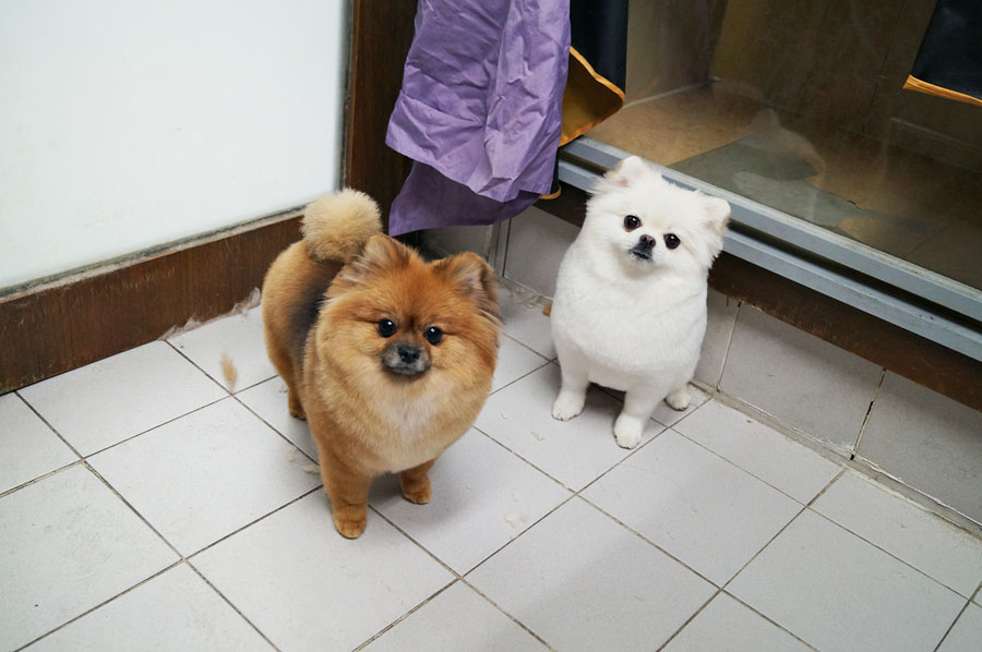 신촌시스터즈 이미지
