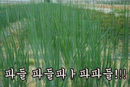 한솔병원 이미지
