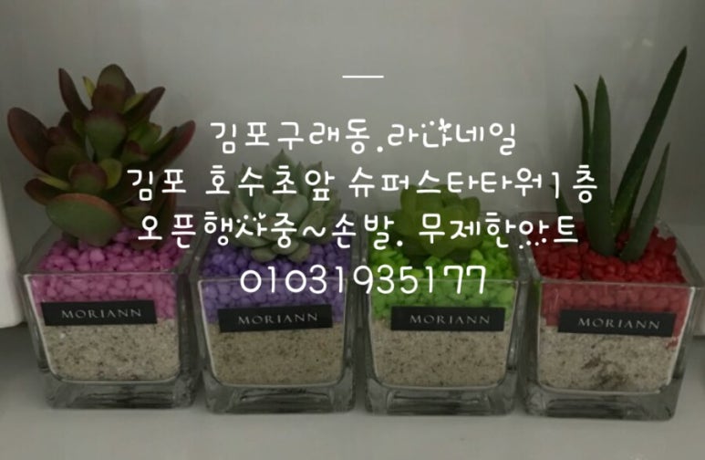 라나네일 이미지
