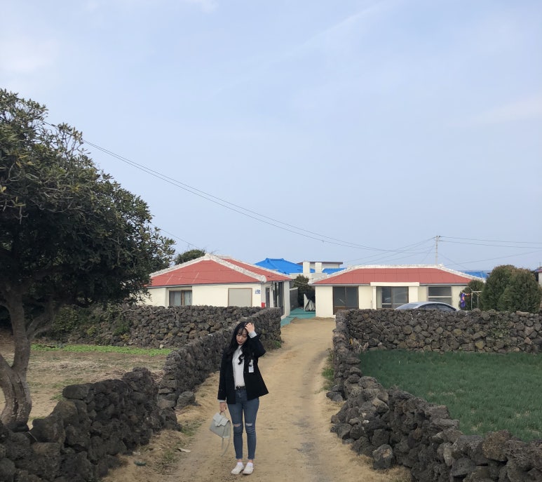 세화여행주 이미지