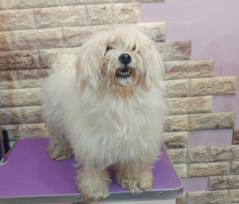 통이네집 이미지