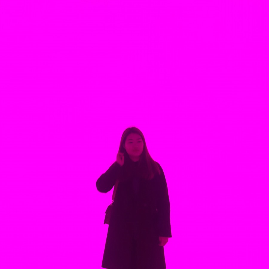앨리스포레 이미지