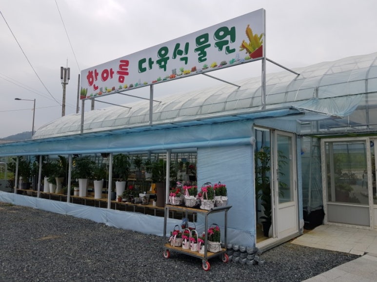 한아름식물원 이미지
