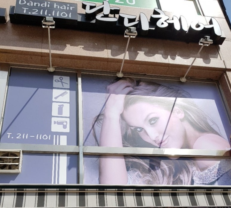 단디헤어 이미지