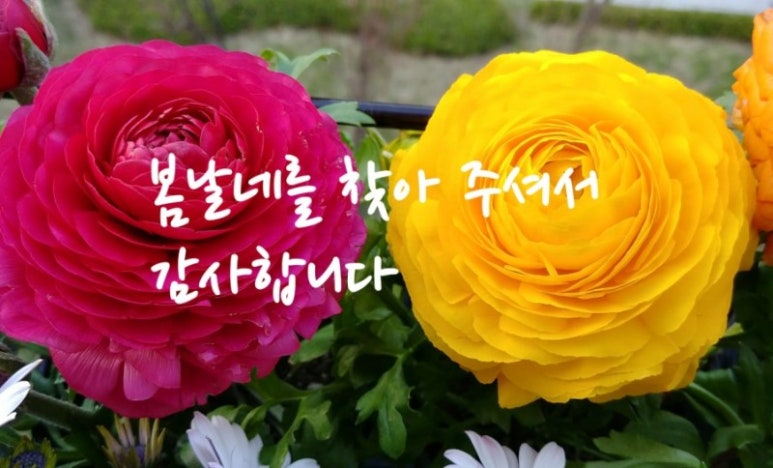 은평한옥마을 성균관 어린이집 이미지