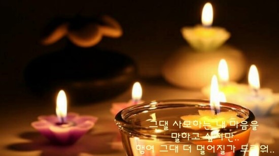사람과나무 이미지