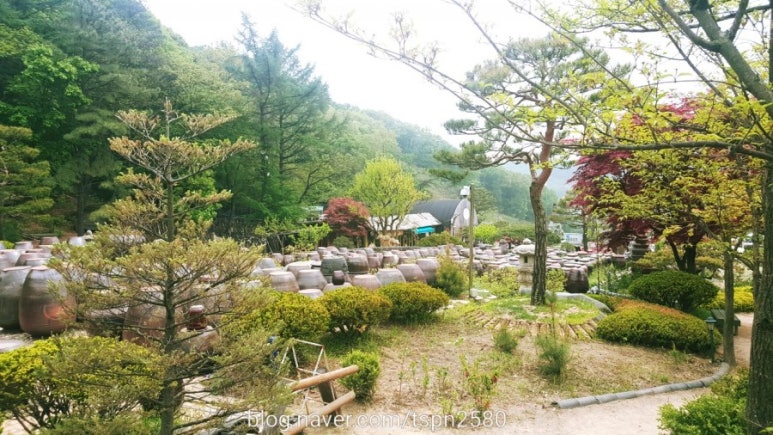 예송원 이미지