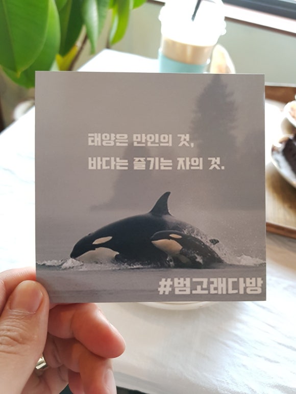 만인다방 이미지