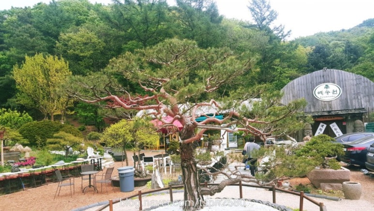 예송원 이미지