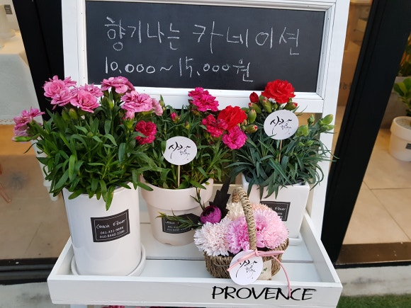 그라시아플라워 이미지