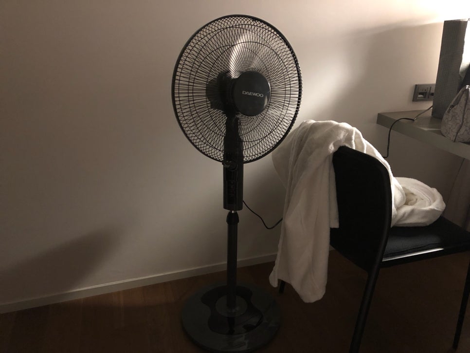 스테이안 이미지