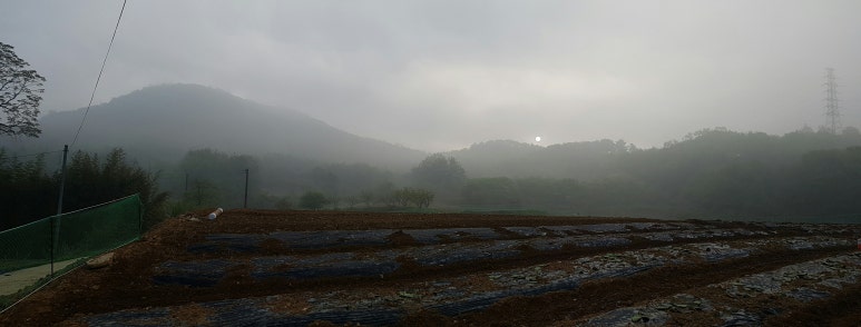 재호팜스토리 이미지