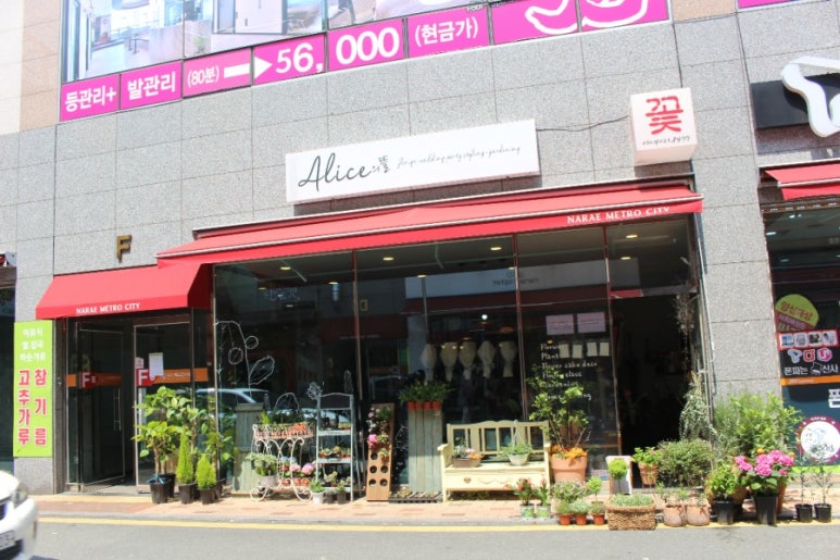 가자꽃배달 이미지