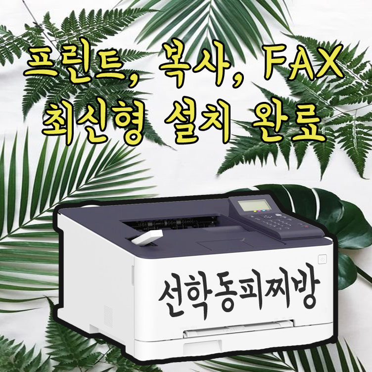 선학동피찌방 이미지
