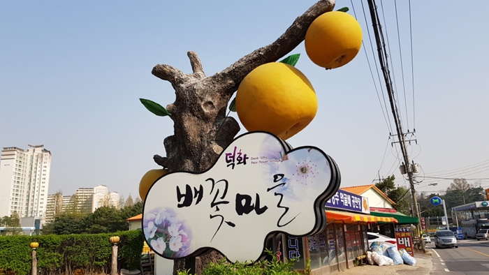 배꽃마을 이미지