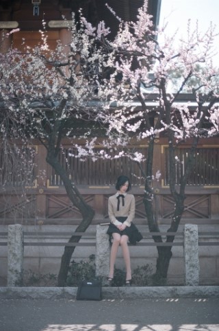 밀크코코아 이미지