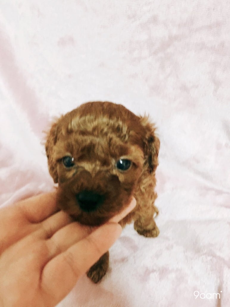 주주헤어클럽 이미지