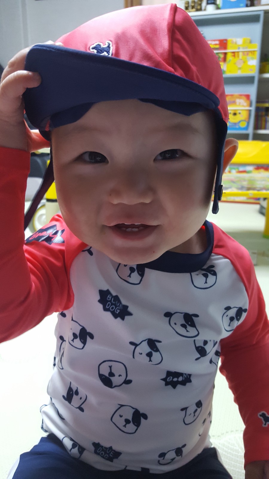 블루독베이비현대 이미지