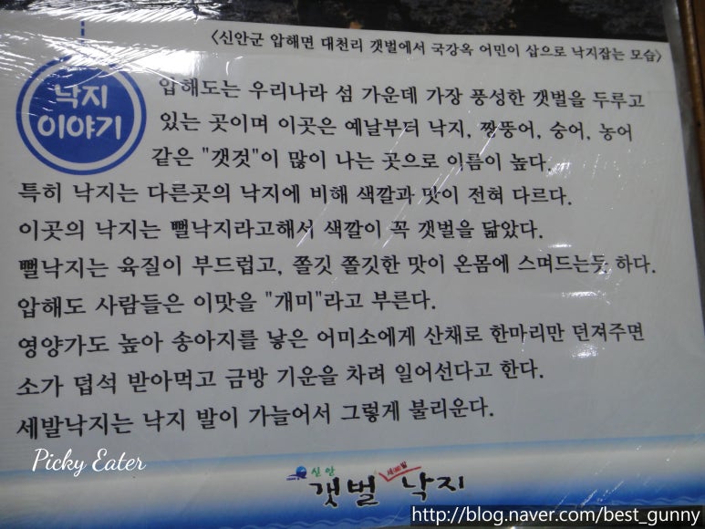신안갯벌세발낙지 이미지