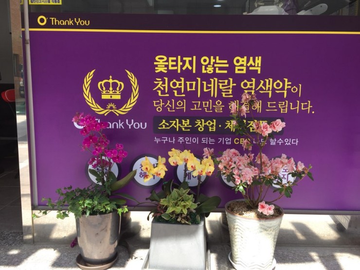 (오땡큐)천연 머리 염색 이미지
