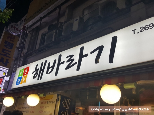 푸른농장해바라기 이미지