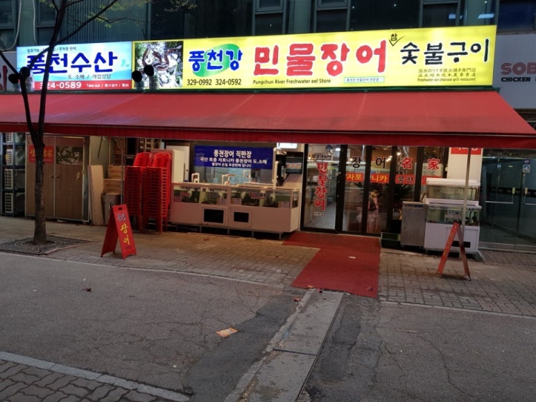 풍천강장어 이미지